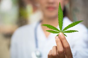 Marijuana use and child custody in Michigan